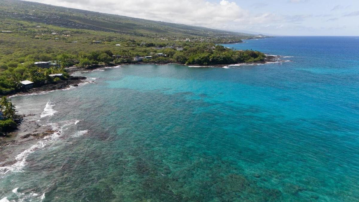 Oceanfront 1 Bedroom 2 Bathroom With Large Lanai - Kona Bali Kai 218 Kailua-Kona Eksteriør billede